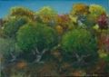 OLIVIERS - VEGETAL