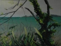 REGARDE - EAUX