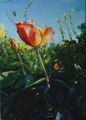 LA FLEUR - FLEURS