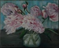 PIVOINE - FLEURS